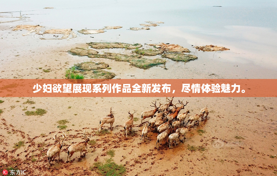 少妇欲望展现系列作品全新发布，尽情体验魅力。