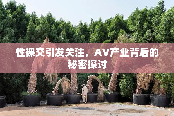 性裸交引发关注，AV产业背后的秘密探讨