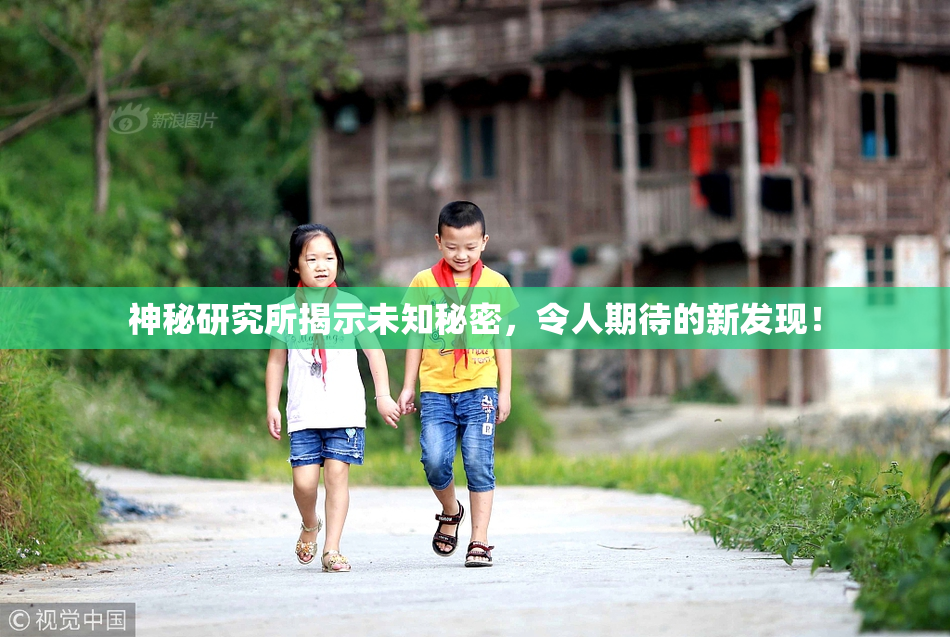 神秘研究所揭示未知秘密，令人期待的新发现！