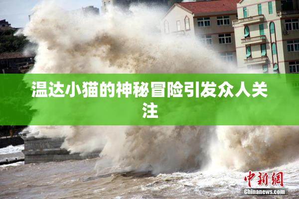 温达小猫的神秘冒险引发众人关注