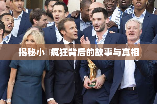 揭秘小泬疯狂背后的故事与真相