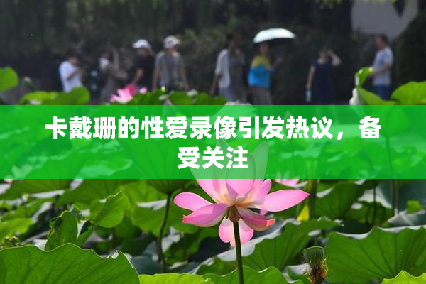卡戴珊的性爱录像引发热议，备受关注