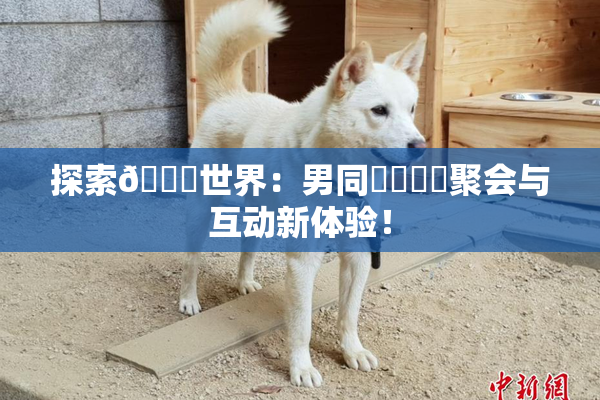 探索🔞世界：男同❌‌❌‌聚会与互动新体验！
