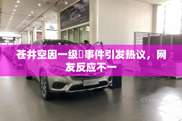 苍井空因一级婬事件引发热议，网友反应不一