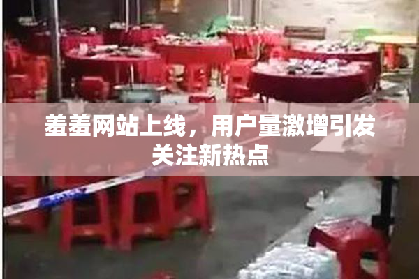 羞羞网站上线，用户量激增引发关注新热点