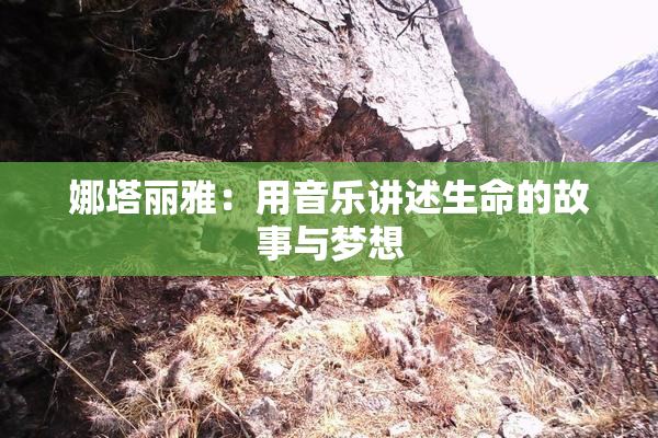 娜塔丽雅：用音乐讲述生命的故事与梦想