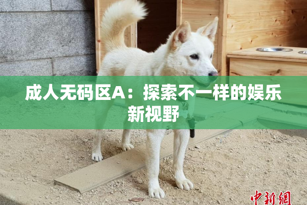 成人无码区A：探索不一样的娱乐新视野