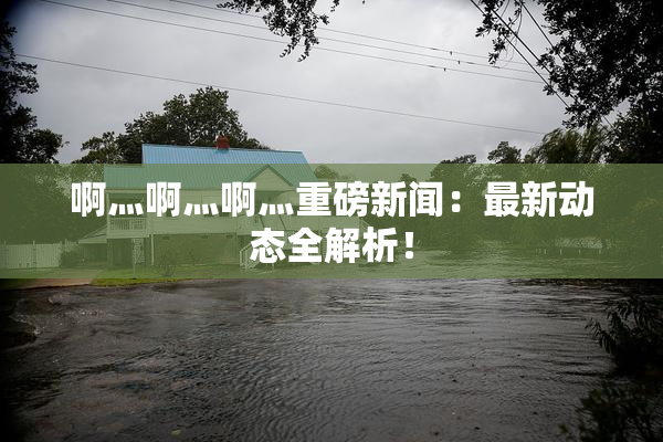 啊灬啊灬啊灬重磅新闻：最新动态全解析！