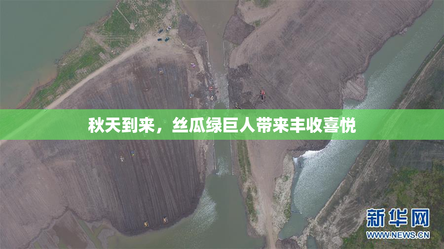 秋天到来，丝瓜绿巨人带来丰收喜悦