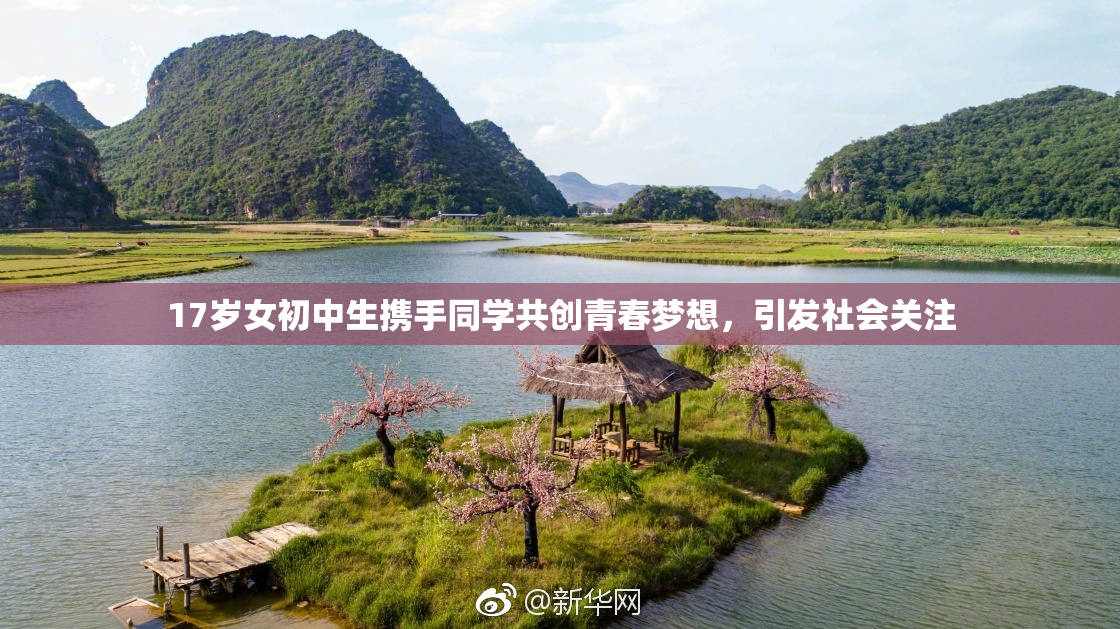 17岁女初中生携手同学共创青春梦想，引发社会关注