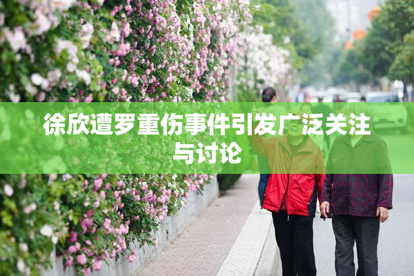 徐欣遭罗重伤事件引发广泛关注与讨论