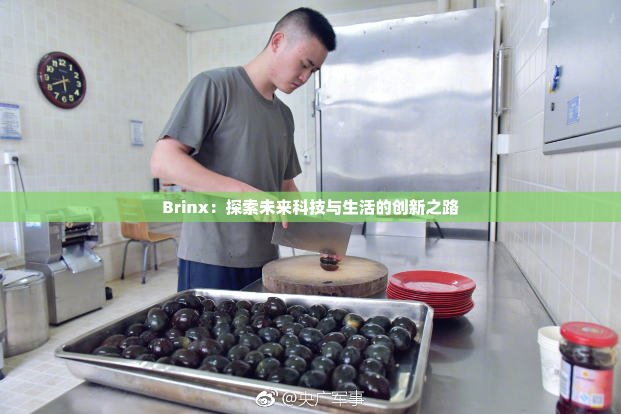 Brinx：探索未来科技与生活的创新之路