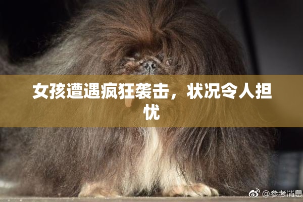 女孩遭遇疯狂袭击，状况令人担忧