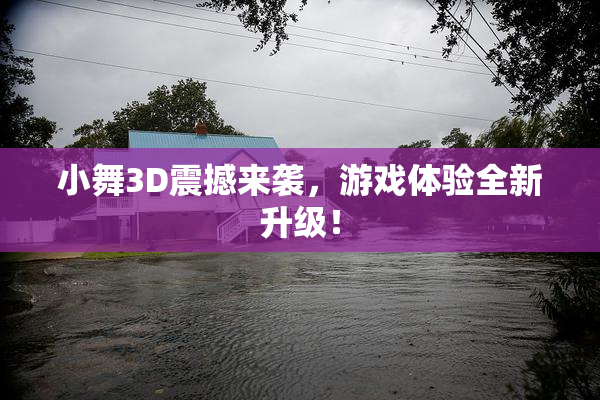 小舞3D震撼来袭，游戏体验全新升级！