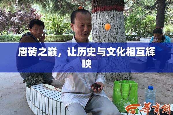 唐砖之巅，让历史与文化相互辉映