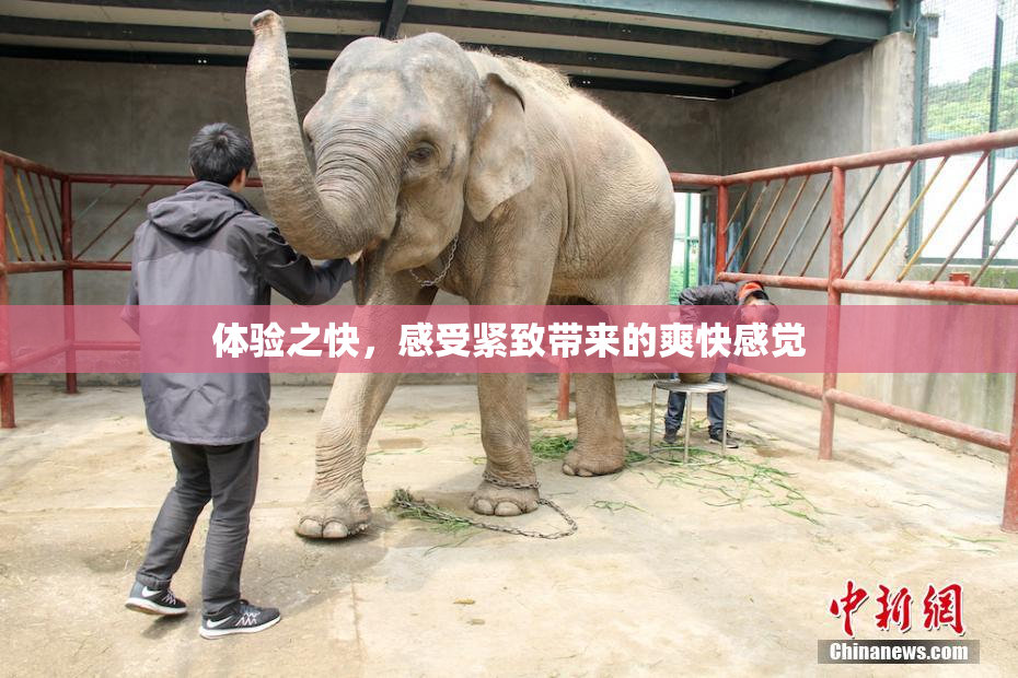 体验之快，感受紧致带来的爽快感觉