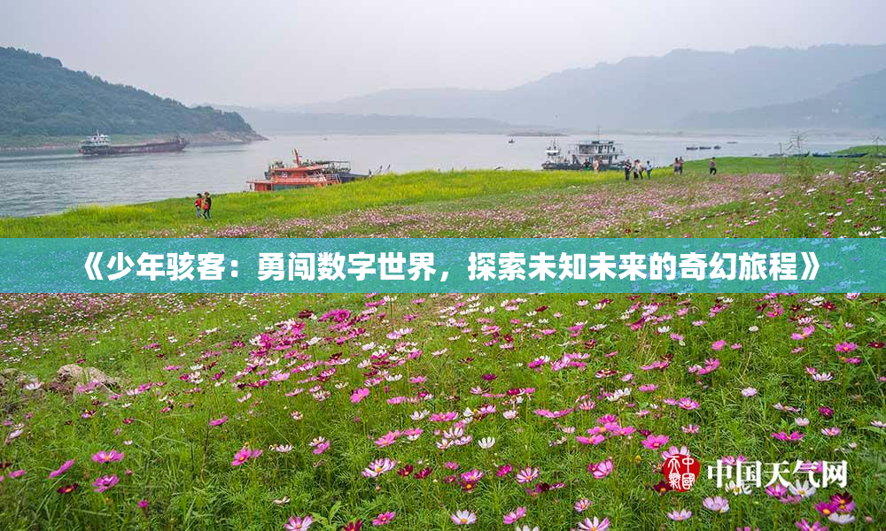 《少年骇客：勇闯数字世界，探索未知未来的奇幻旅程》