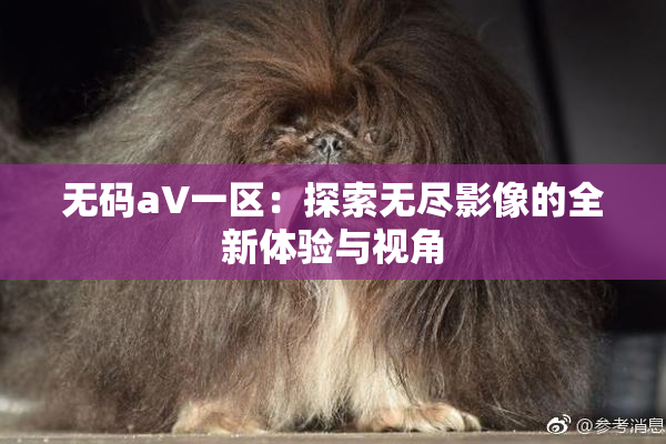 无码aV一区：探索无尽影像的全新体验与视角