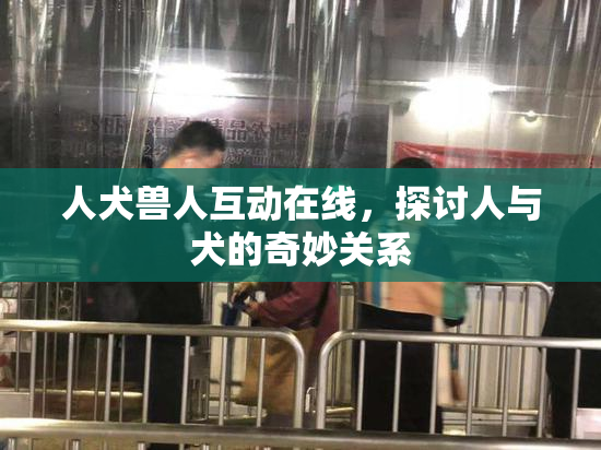 人犬兽人互动在线，探讨人与犬的奇妙关系