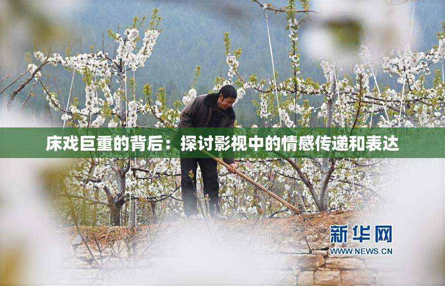 床戏巨重的背后：探讨影视中的情感传递和表达