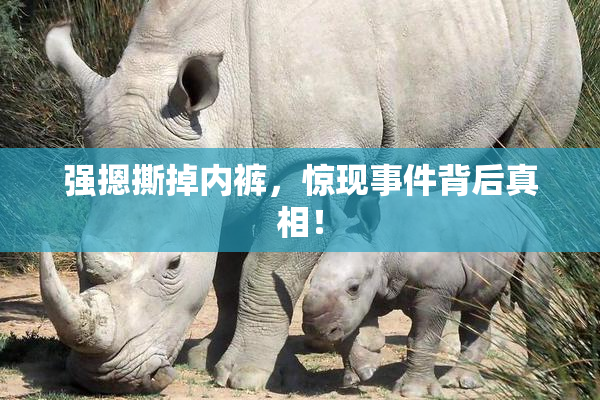 强摁撕掉内裤，惊现事件背后真相！