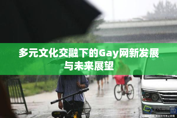 多元文化交融下的Gay网新发展与未来展望