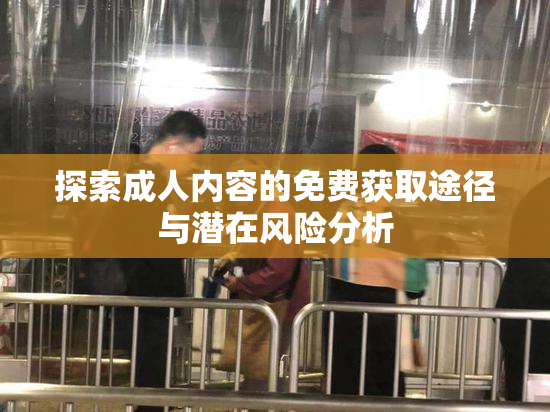 探索成人内容的免费获取途径与潜在风险分析