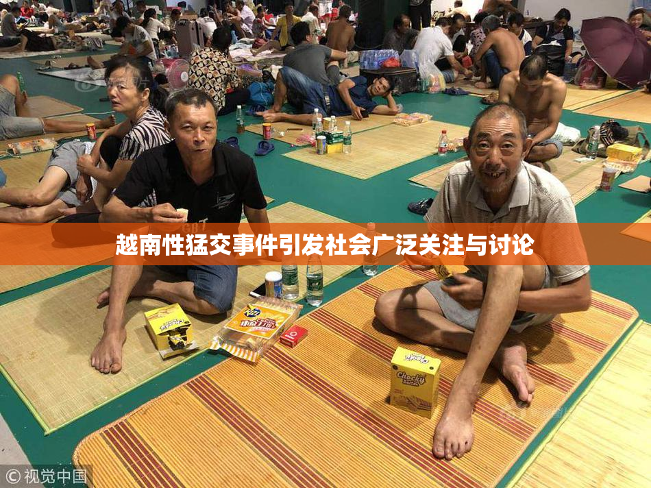 越南性猛交事件引发社会广泛关注与讨论