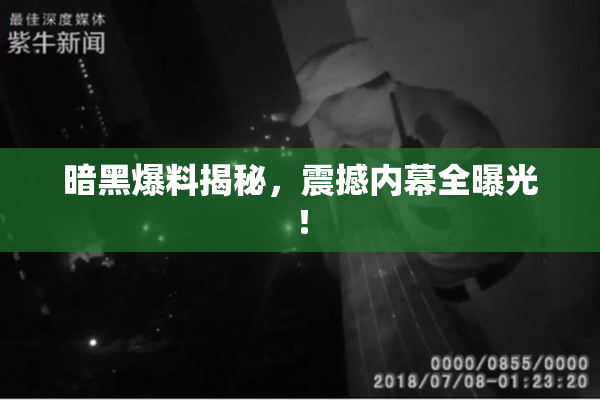 暗黑爆料揭秘，震撼内幕全曝光！