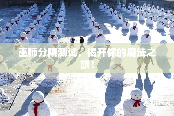 巫师分院测试，揭开你的魔法之旅！