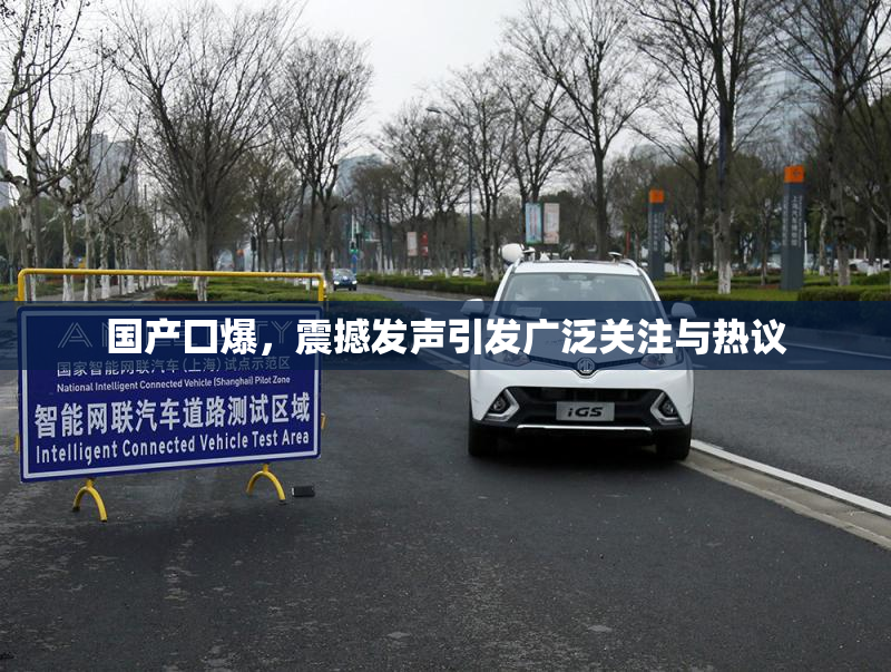国产囗爆，震撼发声引发广泛关注与热议