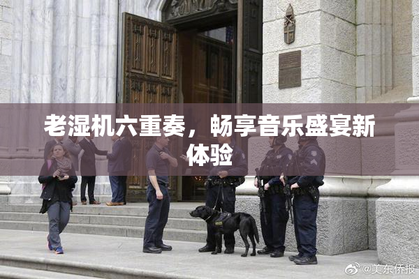 老湿机六重奏，畅享音乐盛宴新体验