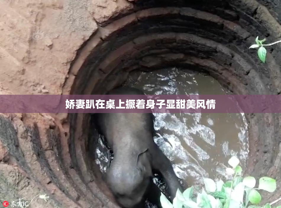 娇妻趴在桌上撅着身子显甜美风情