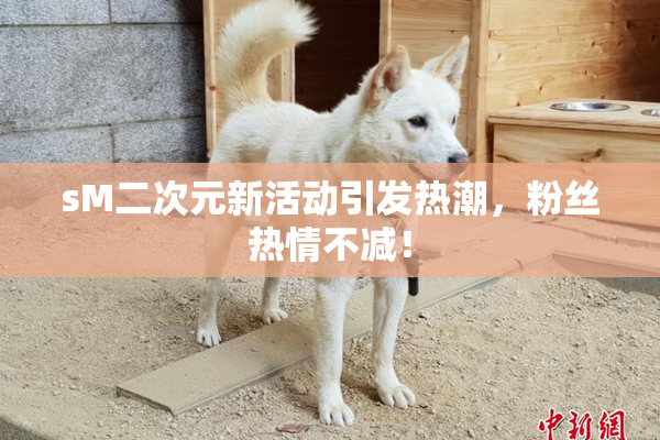 sM二次元新活动引发热潮，粉丝热情不减！