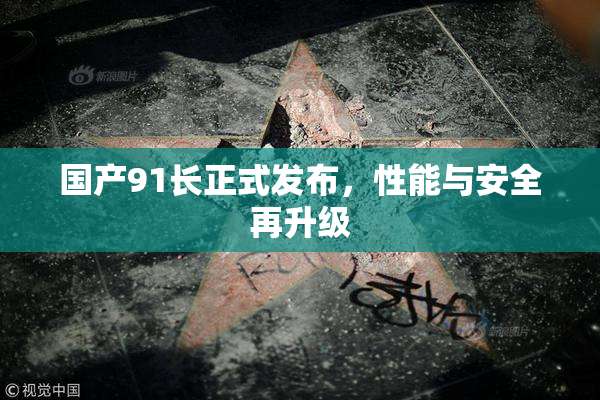 国产91长正式发布，性能与安全再升级