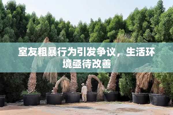 室友粗暴行为引发争议，生活环境亟待改善