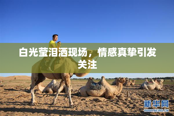 白光莹泪洒现场，情感真挚引发关注