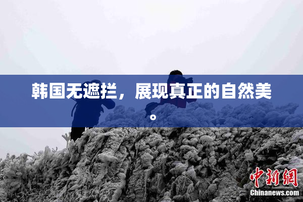 韩国无遮拦，展现真正的自然美。