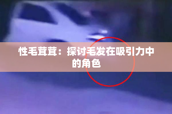 性毛茸茸：探讨毛发在吸引力中的角色