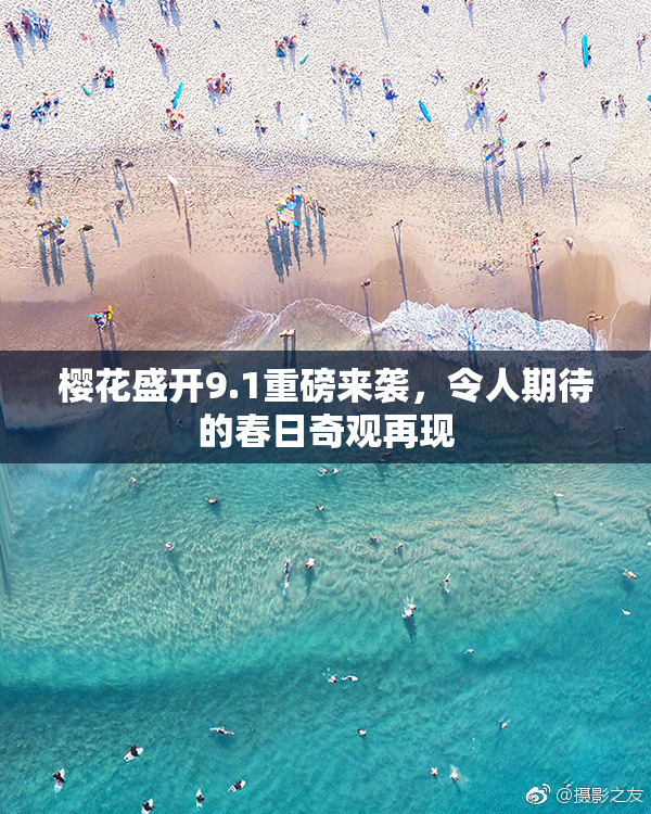 樱花盛开9.1重磅来袭，令人期待的春日奇观再现