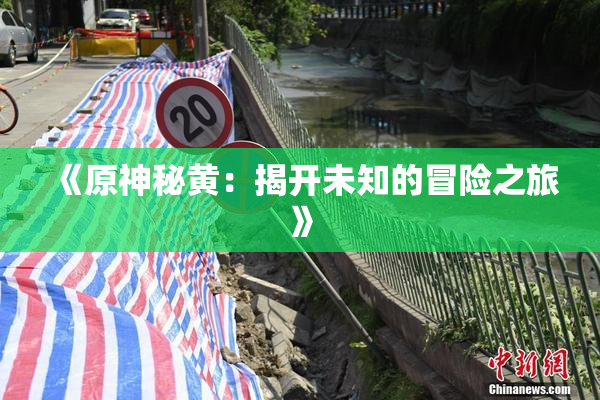 《原神秘黄：揭开未知的冒险之旅》