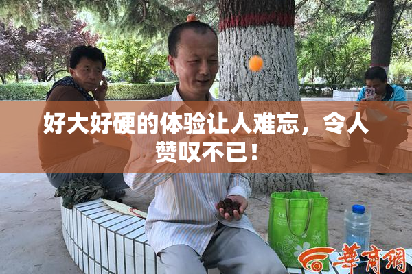 好大好硬的体验让人难忘，令人赞叹不已！