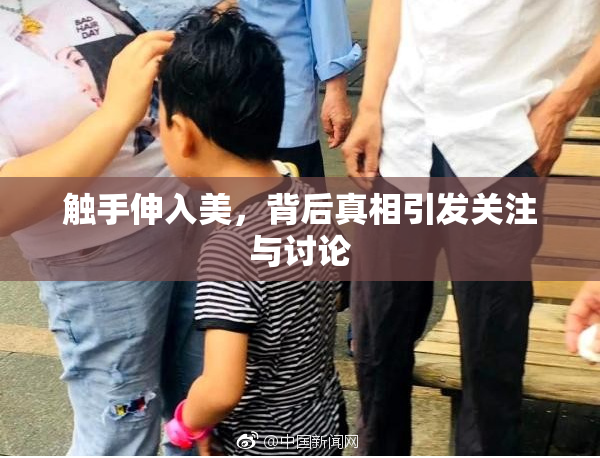触手伸入美，背后真相引发关注与讨论