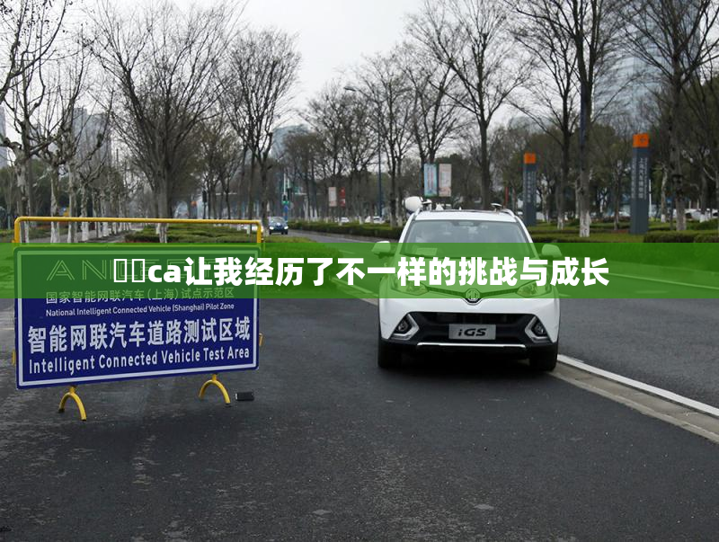 妺妺ca让我经历了不一样的挑战与成长