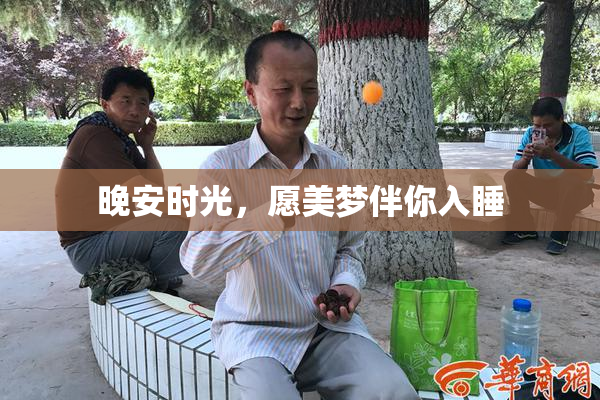 晚安时光，愿美梦伴你入睡