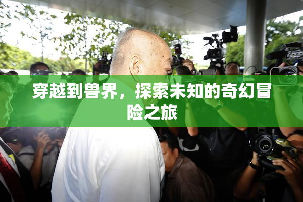 穿越到兽界，探索未知的奇幻冒险之旅