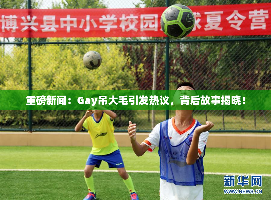 重磅新闻：Gay吊大毛引发热议，背后故事揭晓！