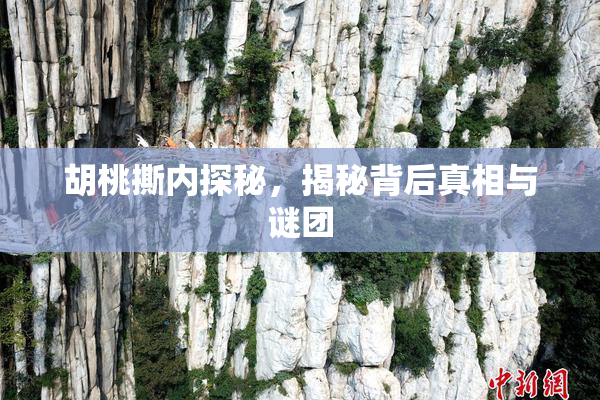 胡桃撕内探秘，揭秘背后真相与谜团