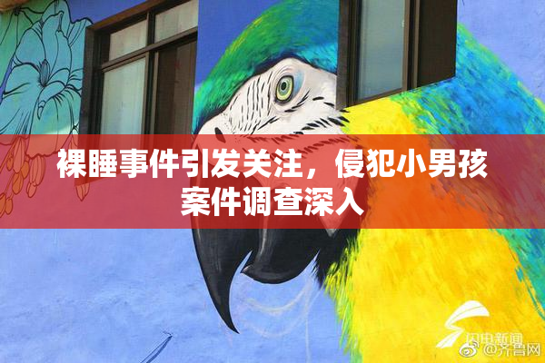 裸睡事件引发关注，侵犯小男孩案件调查深入