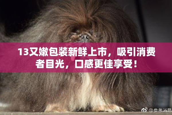 13又嫩包装新鲜上市，吸引消费者目光，口感更佳享受！
